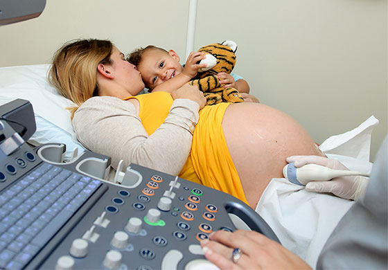 2D Heartbeat Giraffe